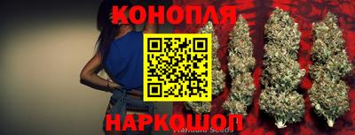 мдпв Нальчик