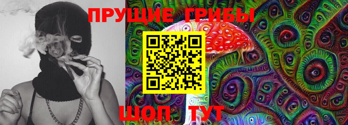 МЕФ Сургут