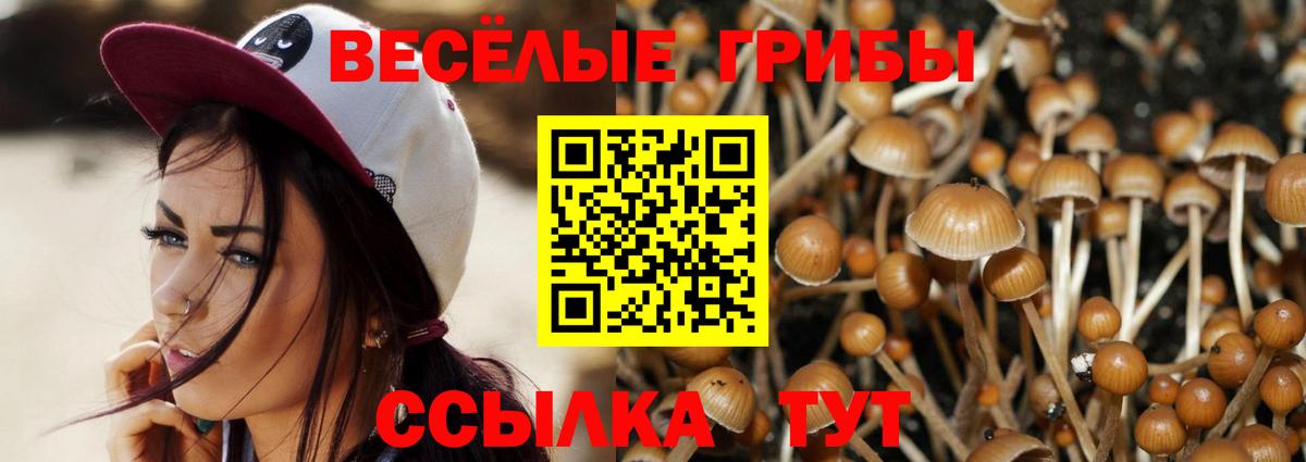 Псилоцибиновые грибы Cubensis  Вход с VPN  Сургут 